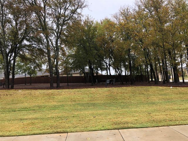 1008 Emerald Drive, Princeton, TX 75407