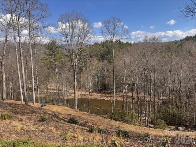 542 Allen Mountain Lane, Spruce Pine, NC 28777