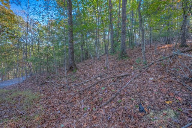 32 Rollingwood Lane, Murphy, NC 28906