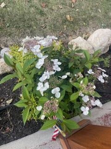 2277 Pioneer Drive, Beloit, WI 53511