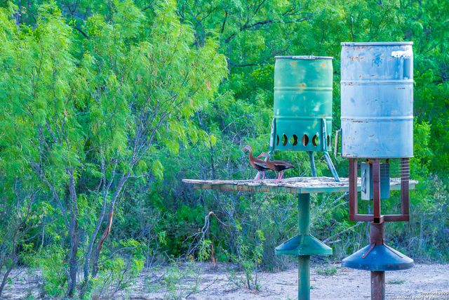 277 us -277, Brackettville, TX 78832