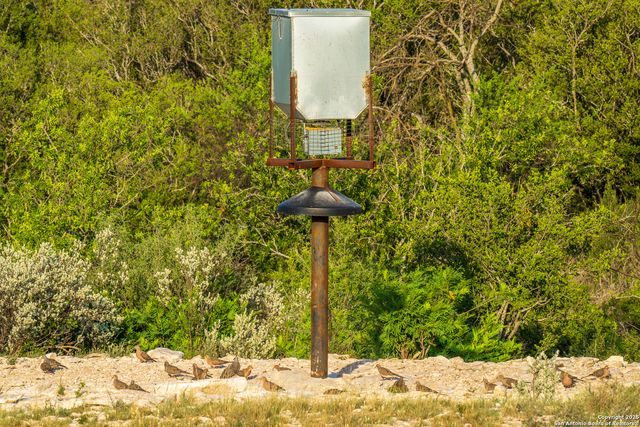 277 us -277, Brackettville, TX 78832