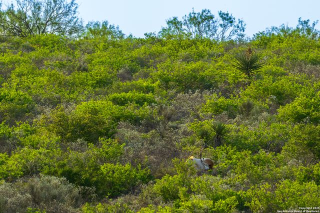 277 us -277, Brackettville, TX 78832