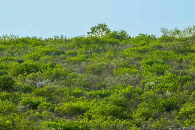 277 us -277, Brackettville, TX 78832