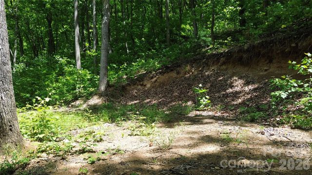 99999 Pink Fox Cove Road, Weaverville, NC 28787