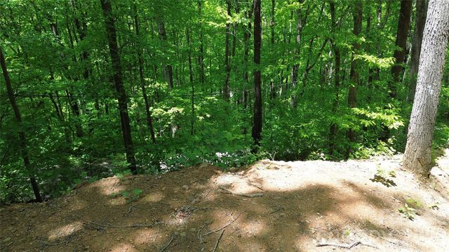 99999 Pink Fox Cove Road, Weaverville, NC 28787