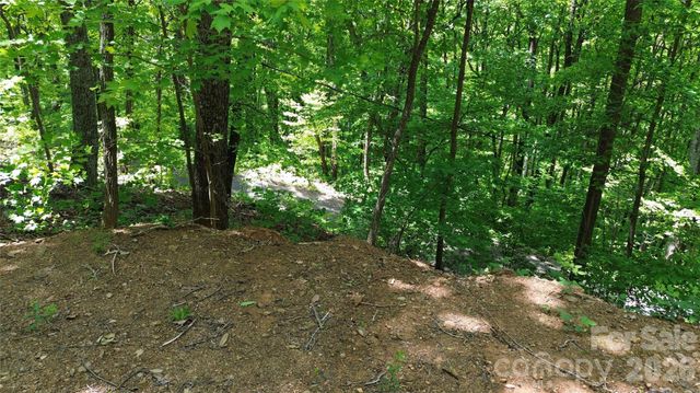 99999 Pink Fox Cove Road, Weaverville, NC 28787