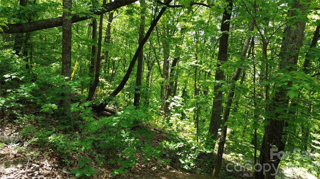 99999 Pink Fox Cove Road, Weaverville, NC 28787