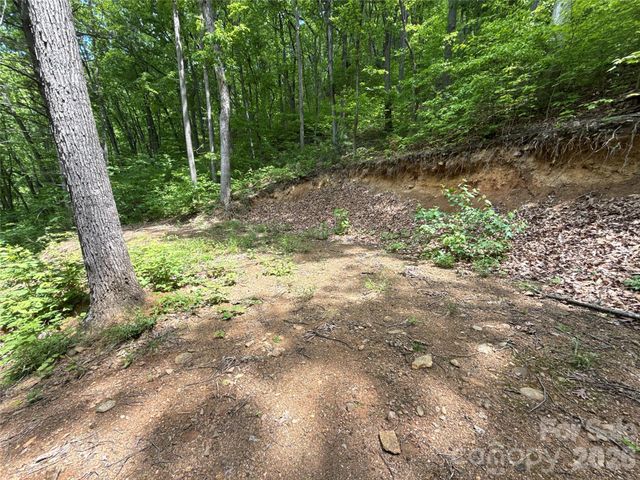99999 Pink Fox Cove Road, Weaverville, NC 28787