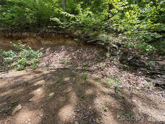 99999 Pink Fox Cove Road, Weaverville, NC 28787