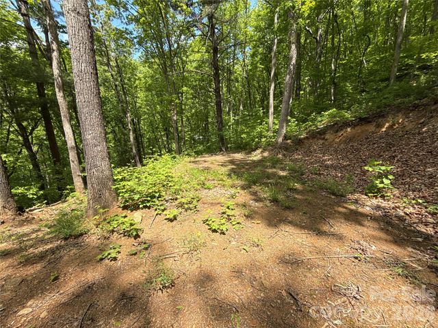 99999 Pink Fox Cove Road, Weaverville, NC 28787