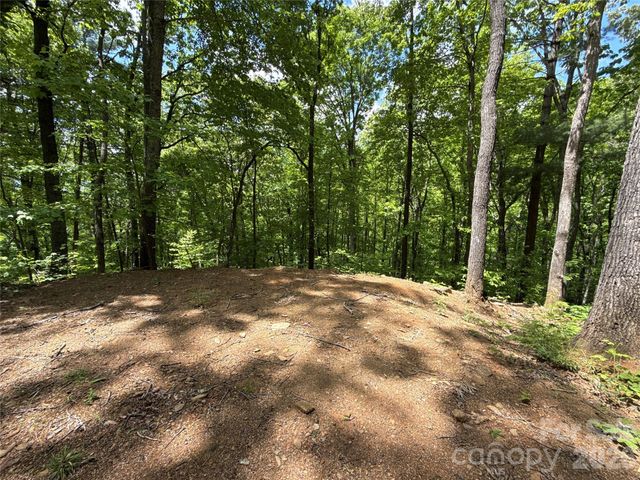 99999 Pink Fox Cove Road, Weaverville, NC 28787