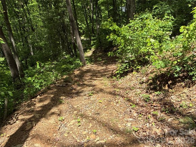 99999 Pink Fox Cove Road, Weaverville, NC 28787