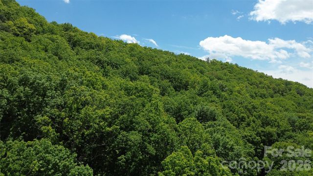99999 Pink Fox Cove Road, Weaverville, NC 28787