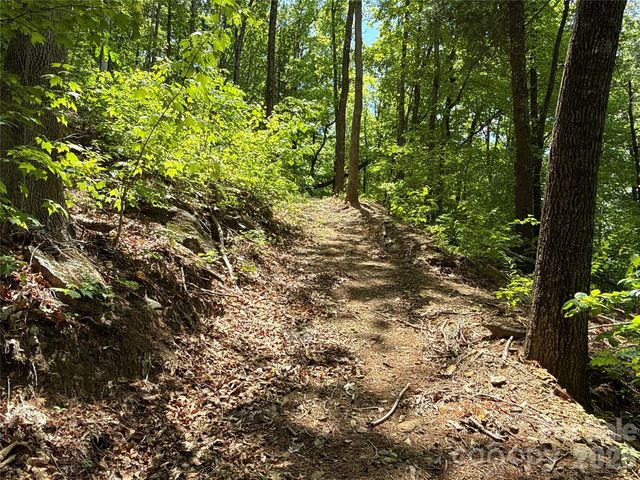 99999 Pink Fox Cove Road, Weaverville, NC 28787