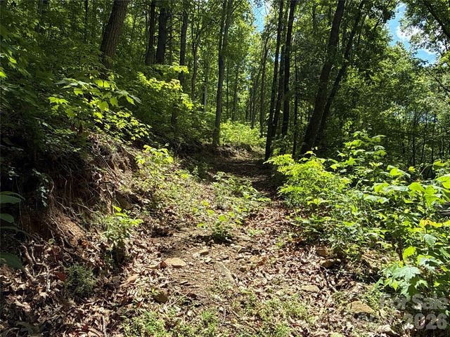 99999 Pink Fox Cove Road, Weaverville, NC 28787