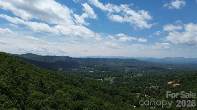 99999 Pink Fox Cove Road, Weaverville, NC 28787