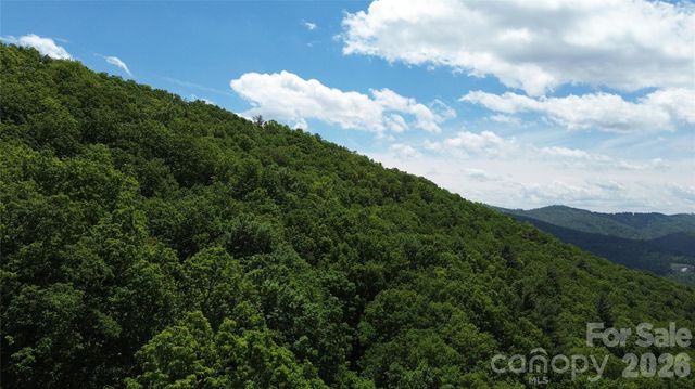 99999 Pink Fox Cove Road, Weaverville, NC 28787