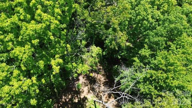 99999 Pink Fox Cove Road, Weaverville, NC 28787