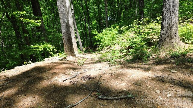99999 Pink Fox Cove Road, Weaverville, NC 28787