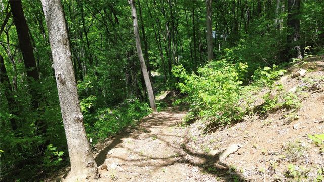 99999 Pink Fox Cove Road, Weaverville, NC 28787