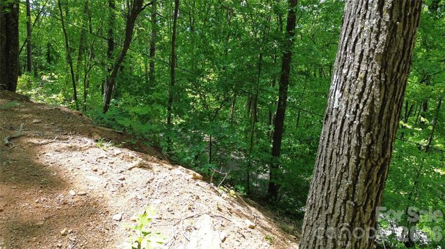 99999 Pink Fox Cove Road, Weaverville, NC 28787