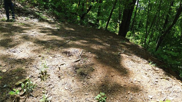 99999 Pink Fox Cove Road, Weaverville, NC 28787