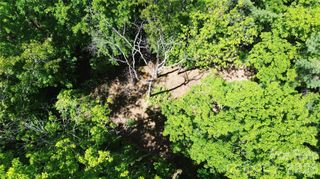 99999 Pink Fox Cove Road, Weaverville, NC 28787