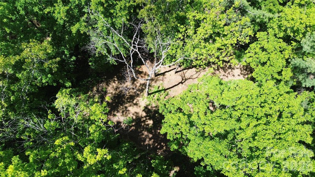99999 Pink Fox Cove Road, Weaverville, NC 28787