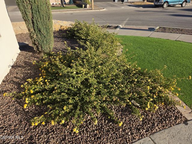 13197 Hazy, El Paso, TX 79938