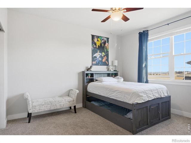 270 Mt Harvard Avenue, Severance, CO 80550