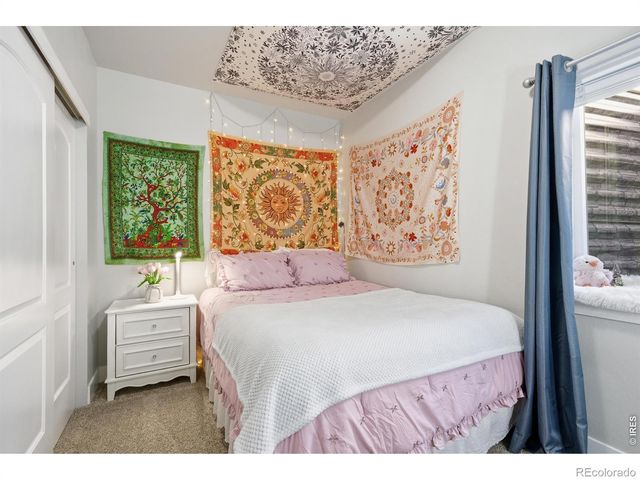 270 Mt Harvard Avenue, Severance, CO 80550