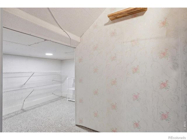 270 Mt Harvard Avenue, Severance, CO 80550