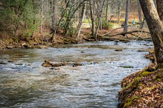 Lot 11B Spence Road, Epworth, GA 30541