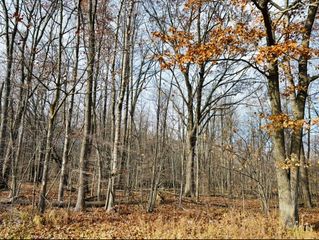 0 N Waldo Road, Midland, MI 48642