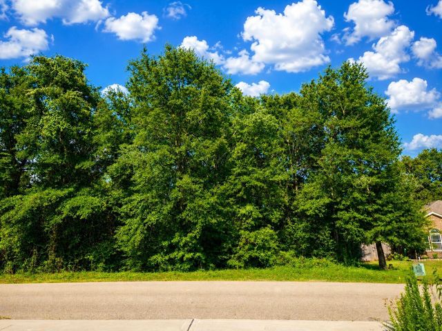 12294 Lake Conroe Hills, Willis, TX 77318