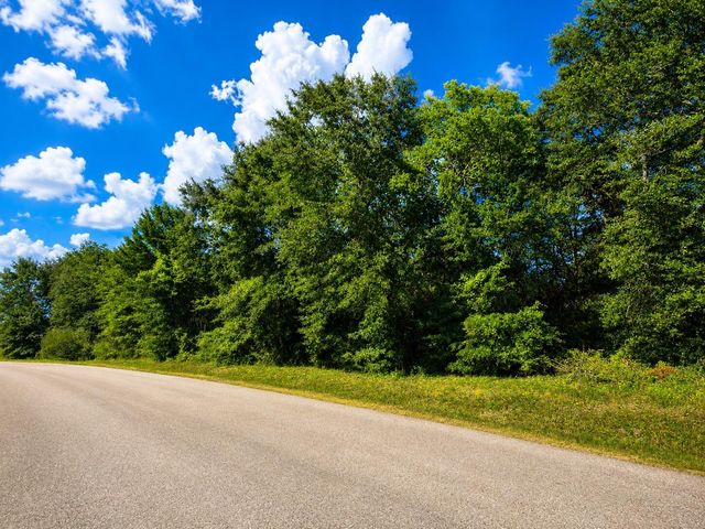 12294 Lake Conroe Hills, Willis, TX 77318