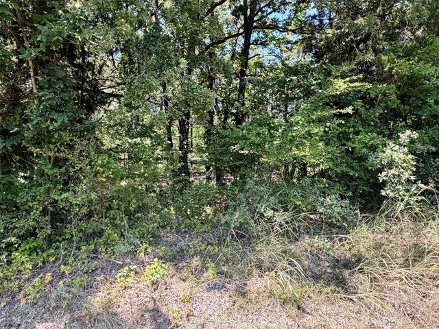 107 Double Bridge Road, Mabank, TX 75156