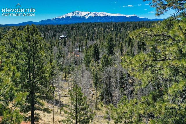 5542 North Road, Divide, CO 80814