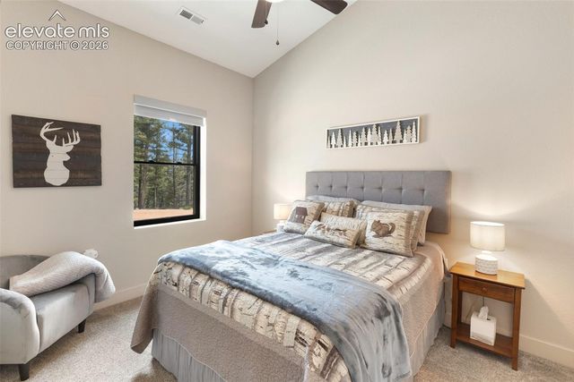 5542 North Road, Divide, CO 80814