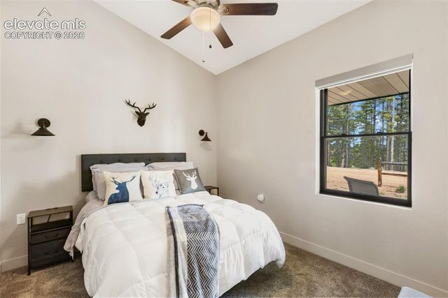 5542 North Road, Divide, CO 80814