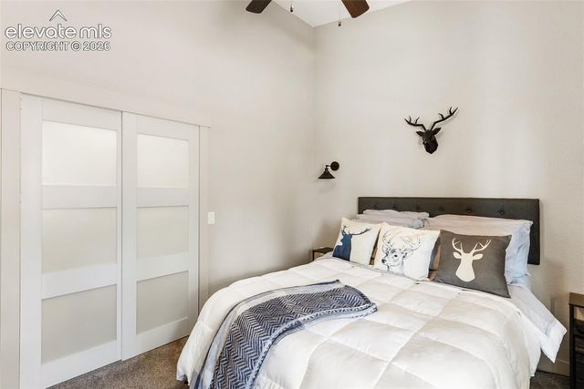 5542 North Road, Divide, CO 80814