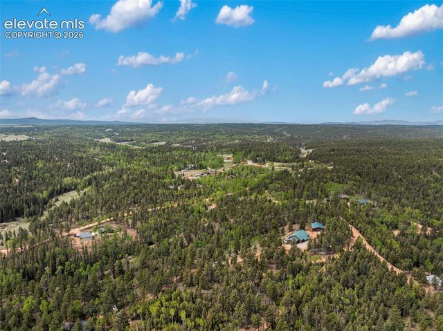 5542 North Road, Divide, CO 80814