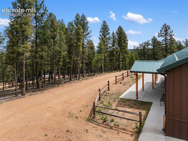 5542 North Road, Divide, CO 80814