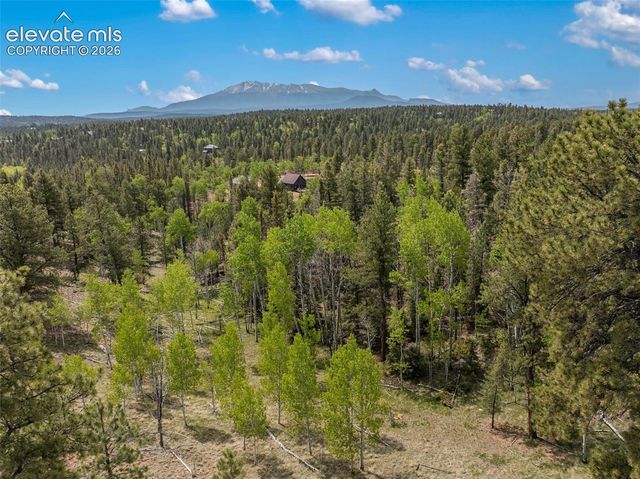 5542 North Road, Divide, CO 80814