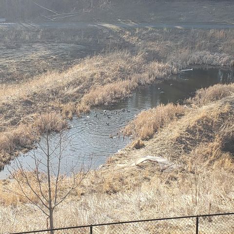 7129 Archer Trail, Inver Grove Heights, MN 55077