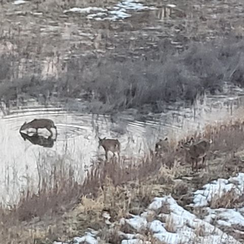 7129 Archer Trail, Inver Grove Heights, MN 55077