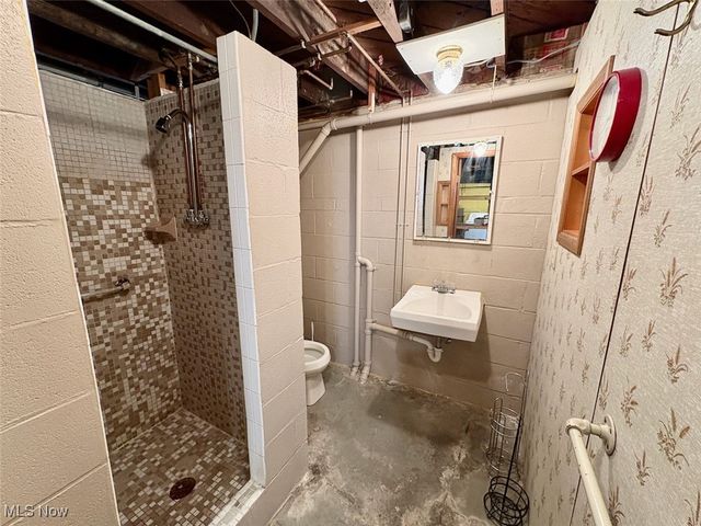 910 S Broadway, Geneva, OH 44041