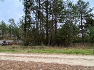 00 Pioneer Trail, Livingston, TX 77351