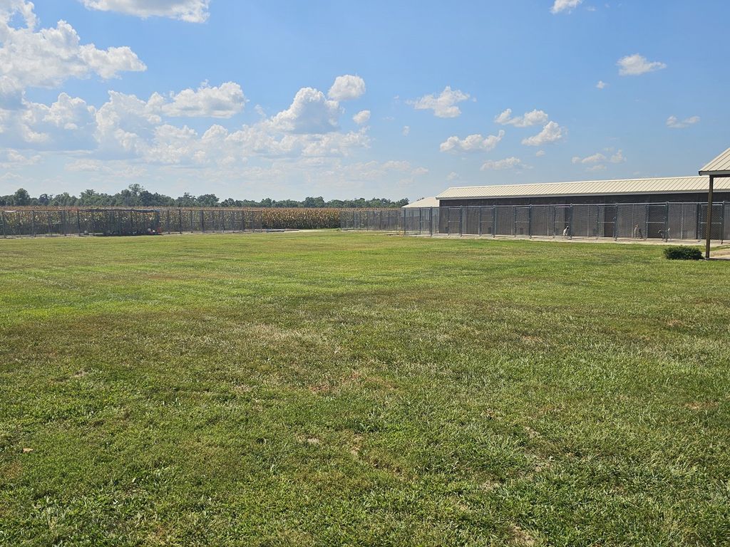 Image 15 of property listing at 8253 N Nason Lane, Mt Vernon, IL 62864